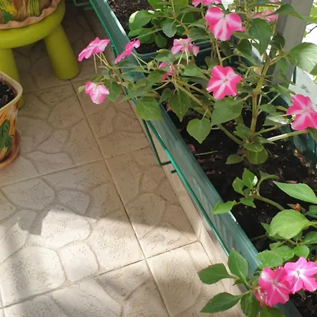 Private In The Center, Close To Subway, Medical