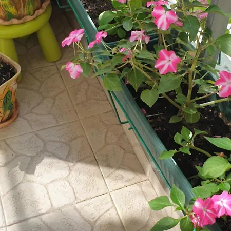 Διαμέρισμα Private In The Center, Close To Subway, Medical