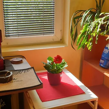 Private In The Center, Close To Subway, Medical * Sofia